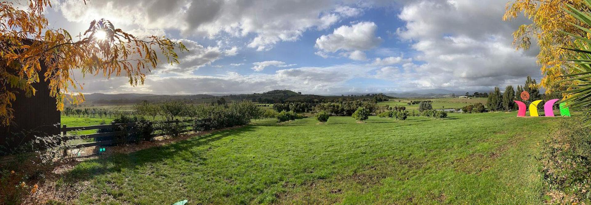 Lilydale Pine Hill Caravan Park - 4
