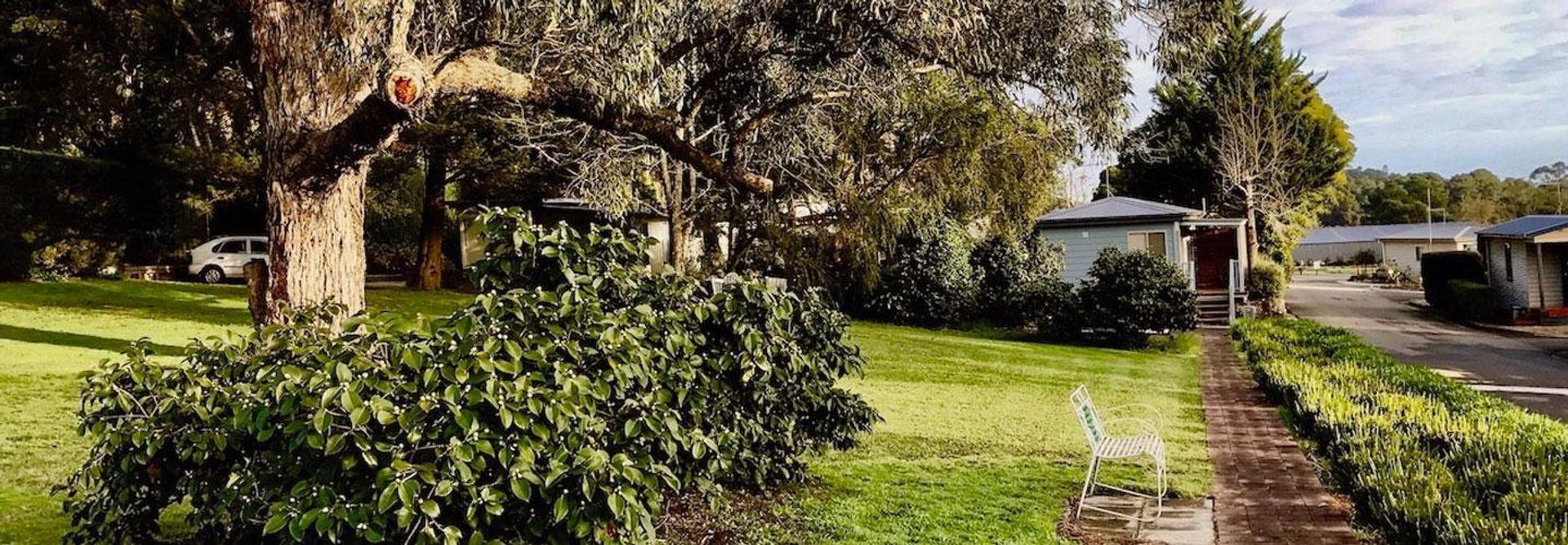 Lilydale Pine Hill Caravan Park - 5