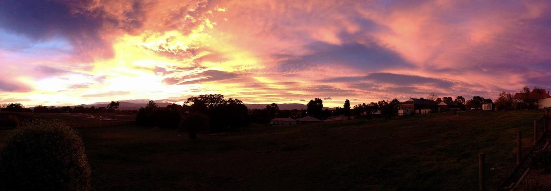 Lilydale Pine Hill Caravan Park - 2