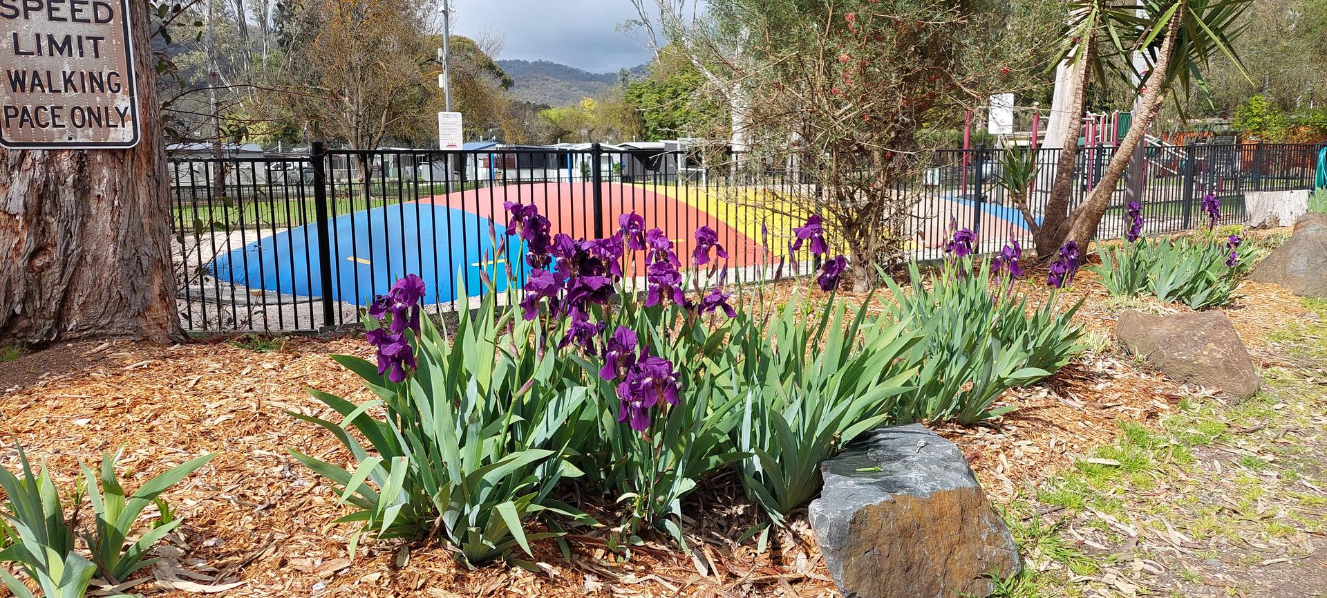 Eildon Pondage Holiday Park - 5