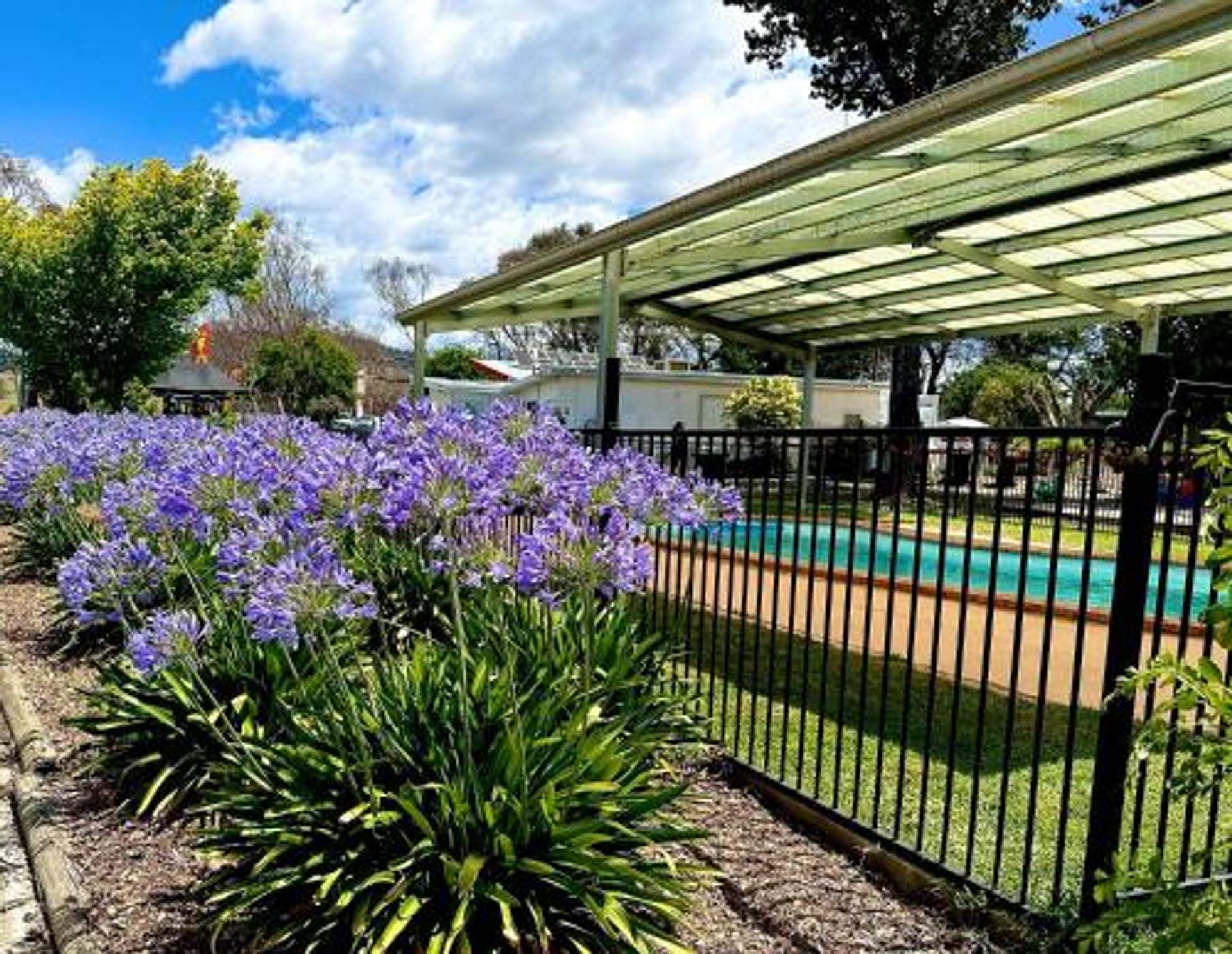 Corryong Caravan Park - 5