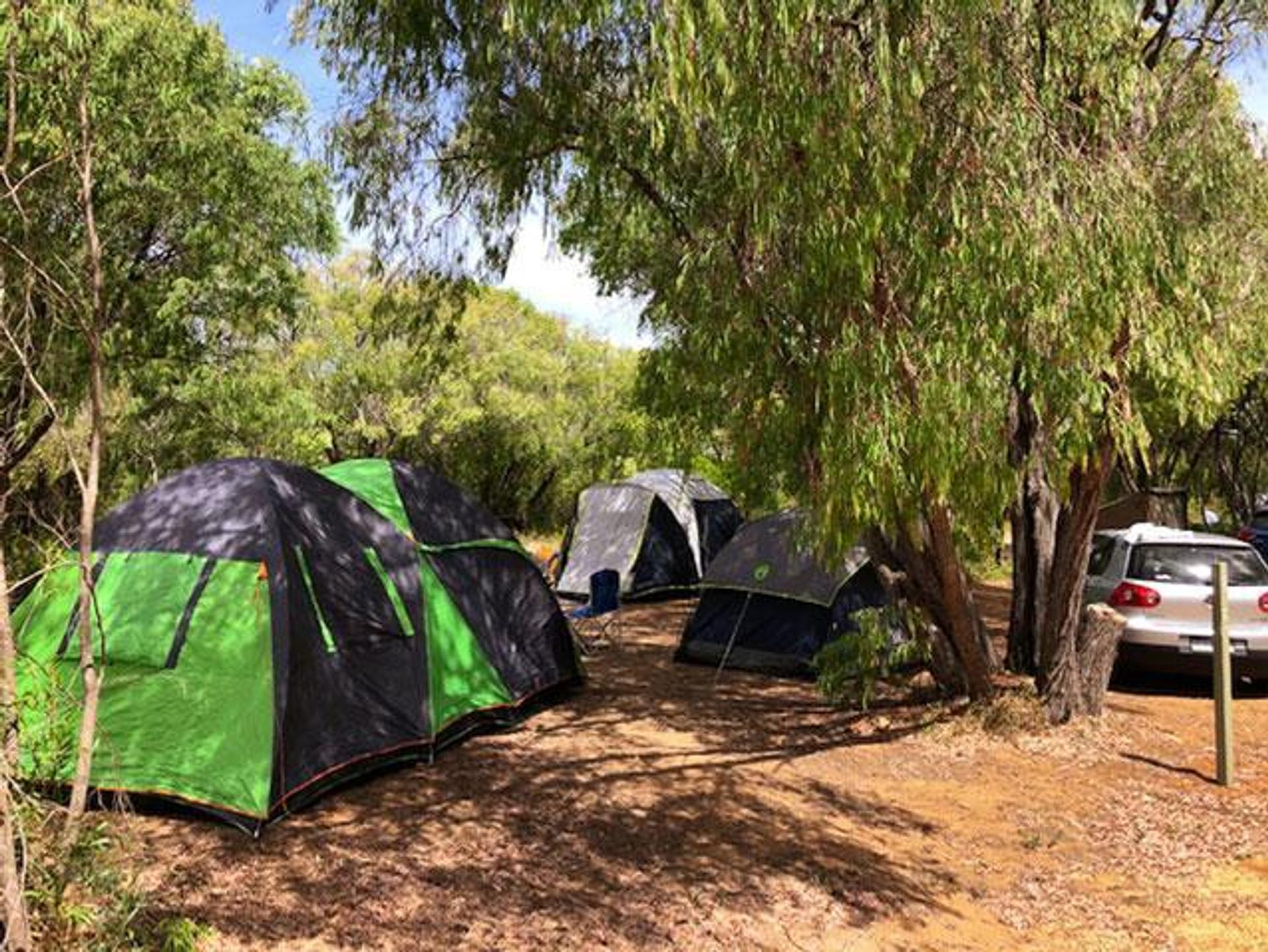 Bush camping