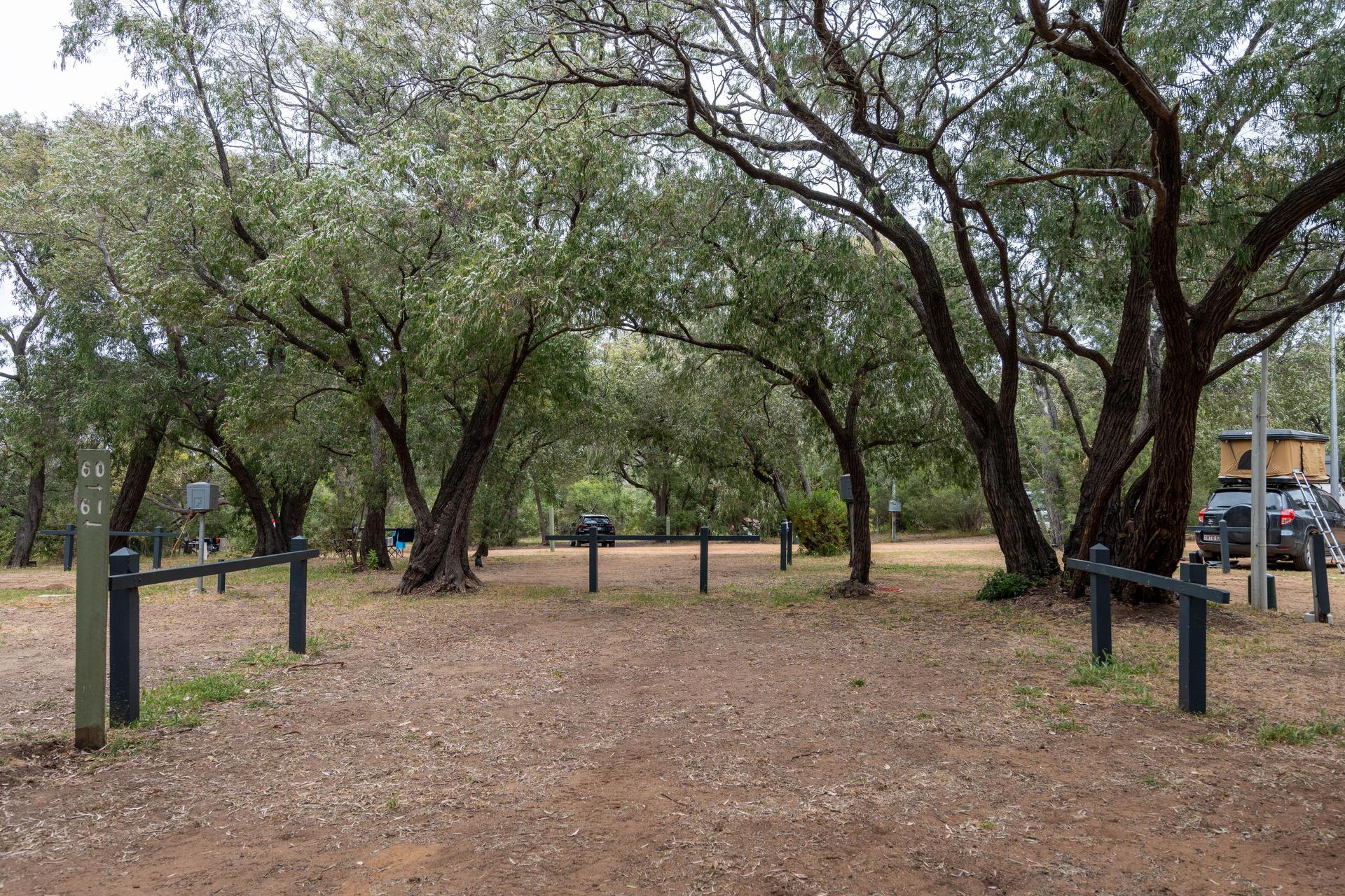 Powered Bush Camp Site - 1